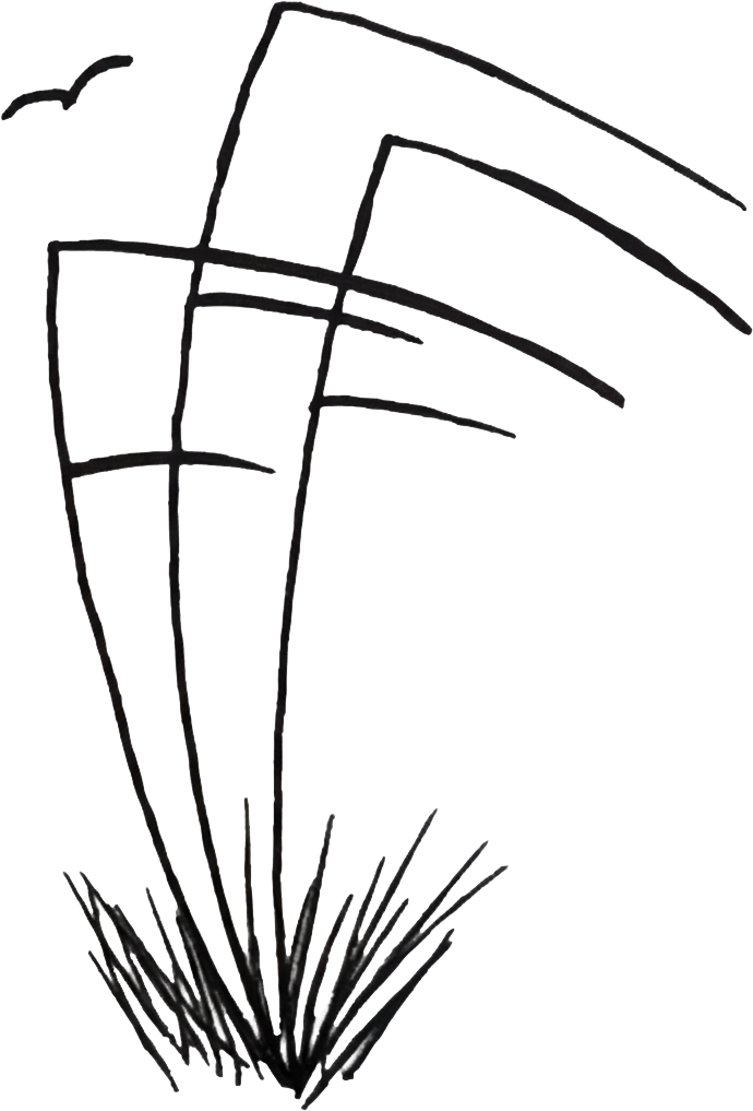 Featherwind Transportation
